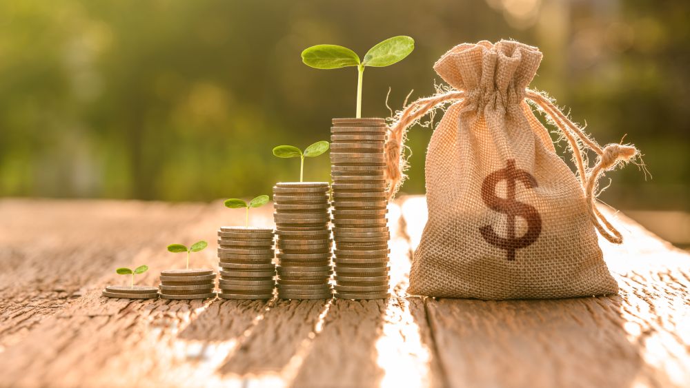 savings growth

