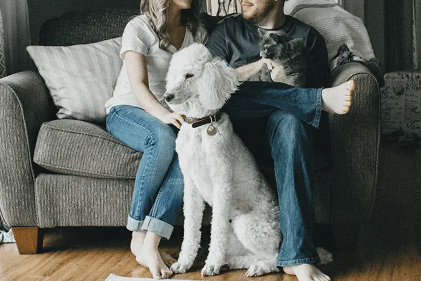 Couple on couch with dog in front of them