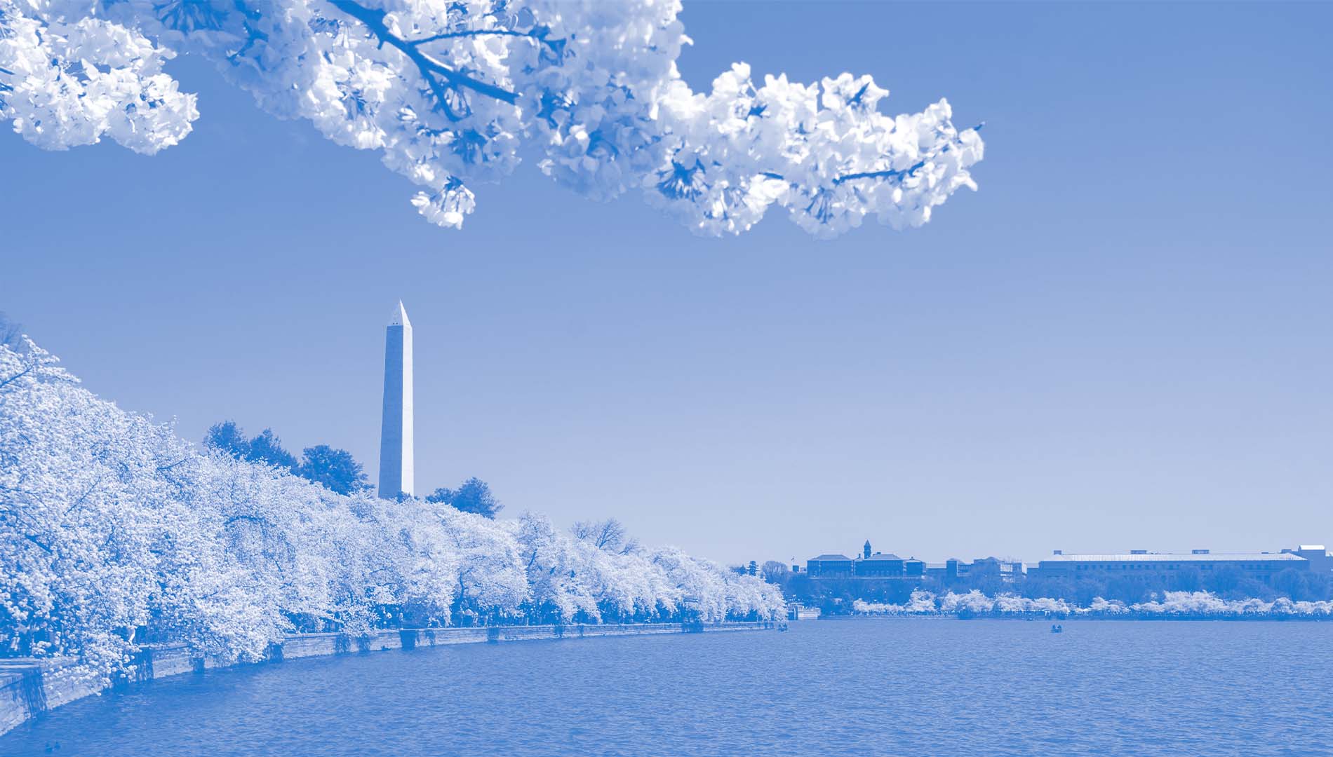 Monument landscape with blue overlay