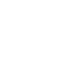 Security icon